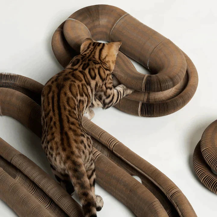 Foldable Cat Ball Track