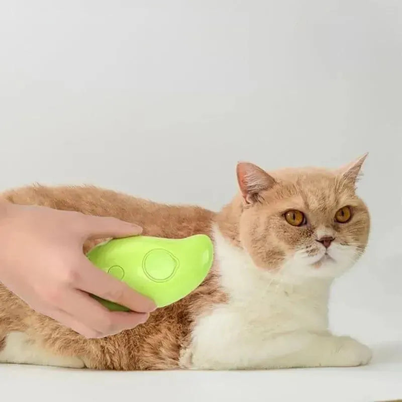 Cat Steam Brush