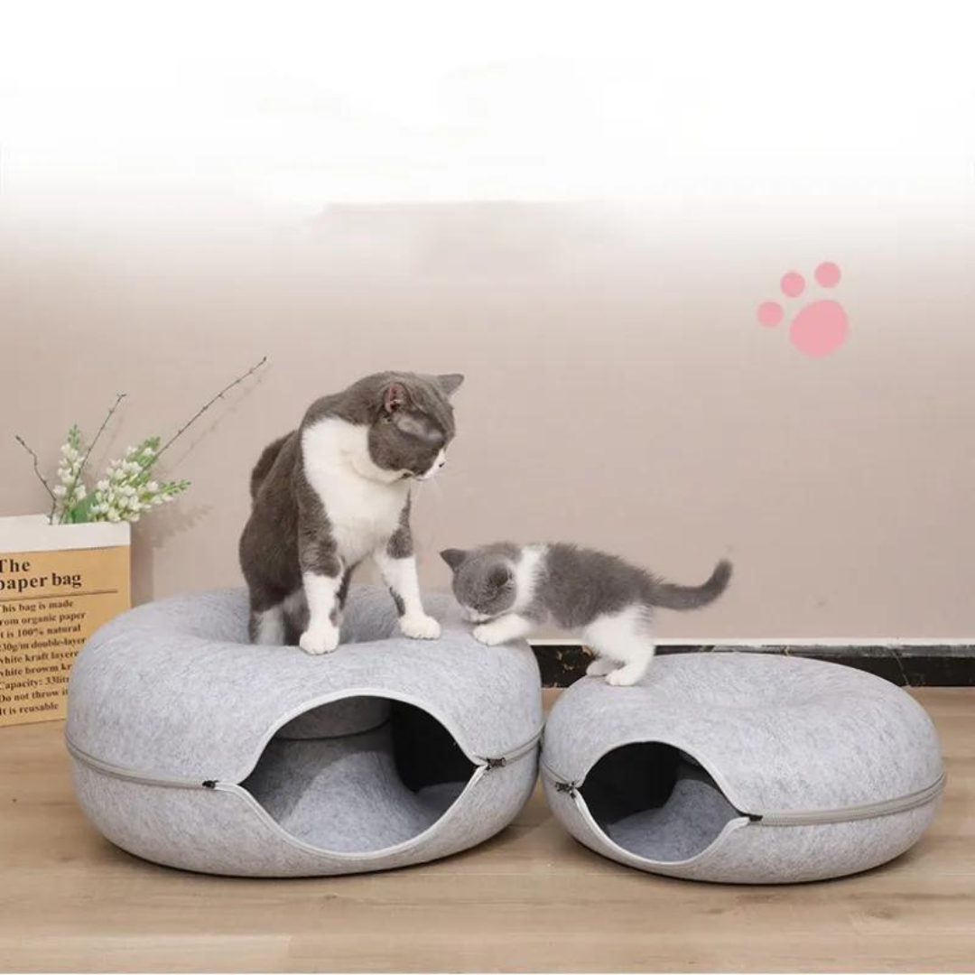 The donut basket for cats