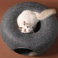 The donut basket for cats