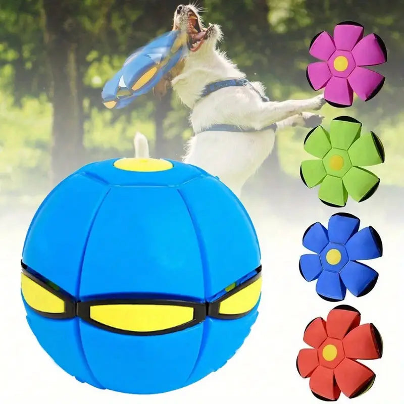 Magical Flying Saucer Ball