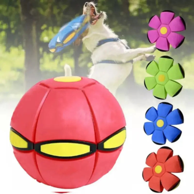 Magical Flying Saucer Ball