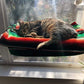 Cat Hammock - Window Hanging Cat Bed